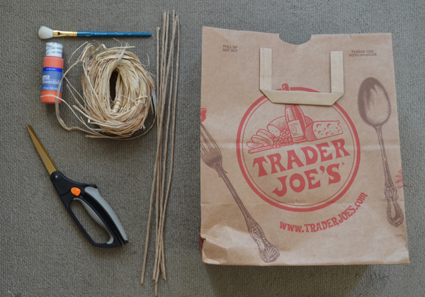 Trader Joe's Bag